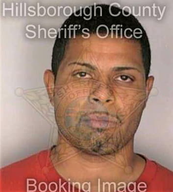 Sanchez Erick - Hillsborough County, FL 