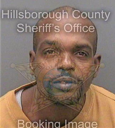 Dunson Sylvester - Hillsborough County, FL 