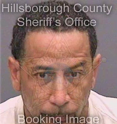 Mccoy William - Hillsborough County, FL 