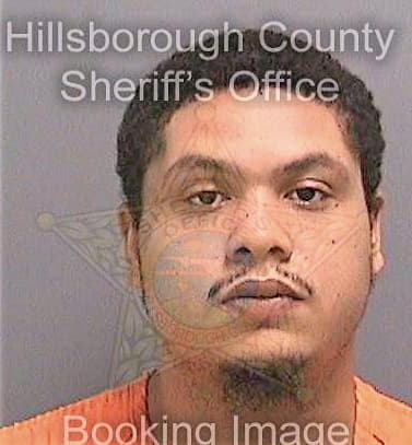 Correa Hershel - Hillsborough County, FL 