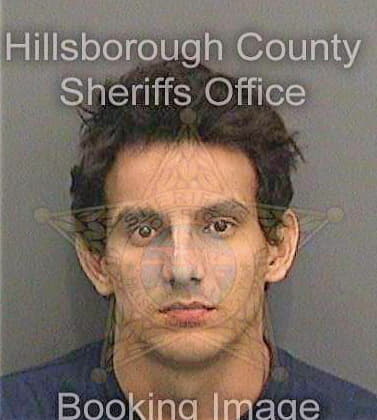 Rivasortiz Alonso - Hillsborough County, FL 