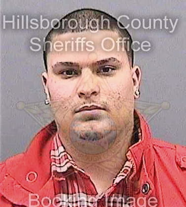 Sepulveda Luis - Hillsborough County, FL 