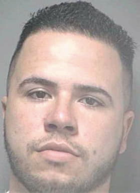 Sergio Alexis - Hillsborough County, FL 