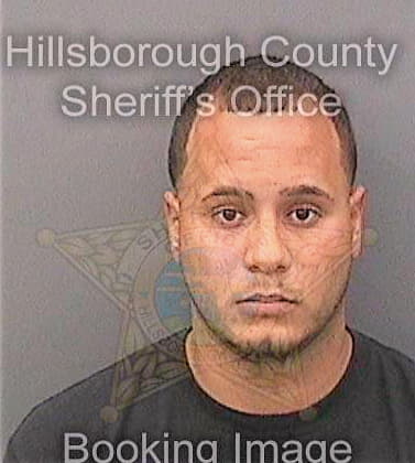 Martinezreyes Luis - Hillsborough County, FL 