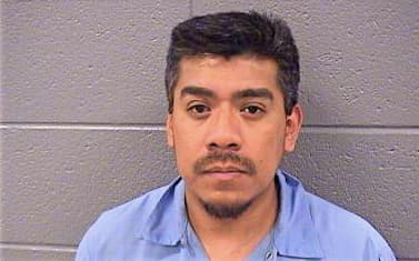 Diaz Alejandro - Cook County, IL 