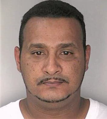 Rodriguez Felipe - Hillsborough County, FL 