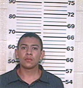 Alvarez Daniel - Hidalgo County, TX 