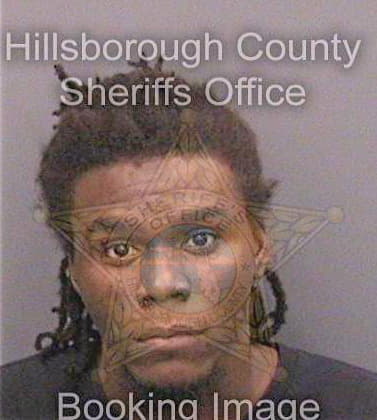 Christopher Dione - Hillsborough County, FL 