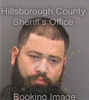 Pedraja Joshua - Hillsborough County, FL 