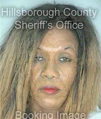 Mcmiller Vincent - Hillsborough County, FL 