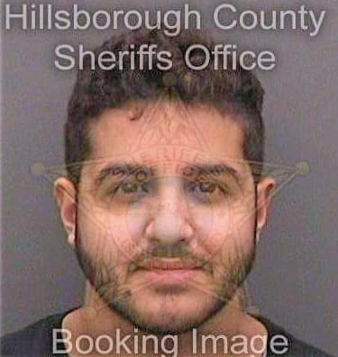 Shaheen Ferris - Hillsborough County, FL 