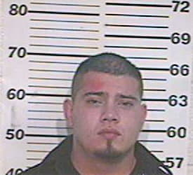 Hernandez David - Hidalgo County, TX 