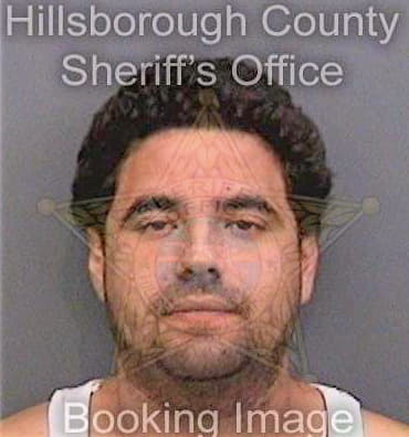 Ortiznegron Benjamin - Hillsborough County, FL 