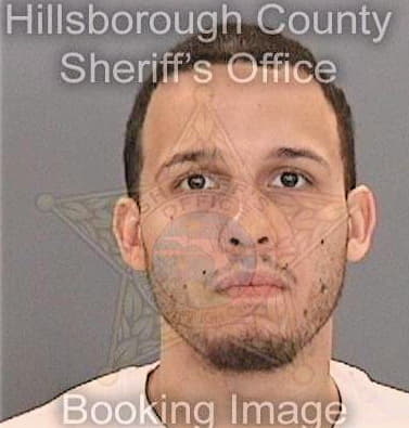 Diaz Miguel - Hillsborough County, FL 