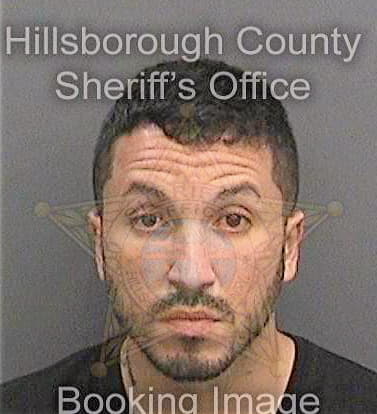 Sierra Andres - Hillsborough County, FL 