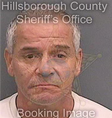 Sanchez George - Hillsborough County, FL 