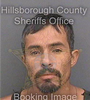 Sanchezlule Jose - Hillsborough County, FL 