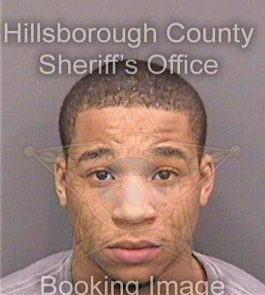 Lewis Adarius - Hillsborough County, FL 