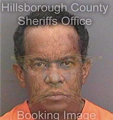 Mercurius Barnie - Hillsborough County, FL 