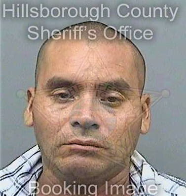 Mejia Marbel - Hillsborough County, FL 