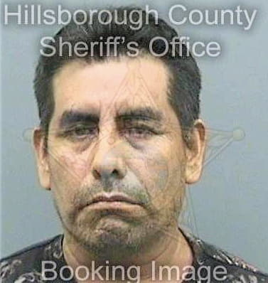 Martinez Teodoro - Hillsborough County, FL 