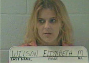 Wilson Elizabeth - Daviess County, KY 