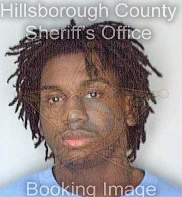 Johnson Herman - Hillsborough County, FL 