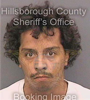 Gomez Luis - Hillsborough County, FL 