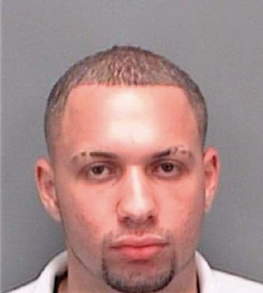 Hernandez Luke - Pinellas County, FL 