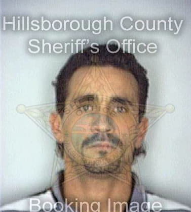 Maiquez Ernesto - Hillsborough County, FL 