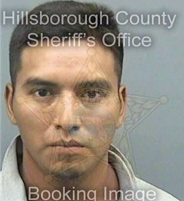 Patishtanlopez Jorge - Hillsborough County, FL 