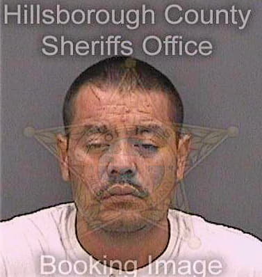 Bazanherrera Jose - Hillsborough County, FL 