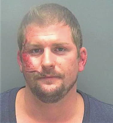Siegfried Michael - Lee County, FL 