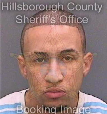 Medinacarey Miguel - Hillsborough County, FL 