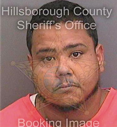 Vellon Enrique - Hillsborough County, FL 