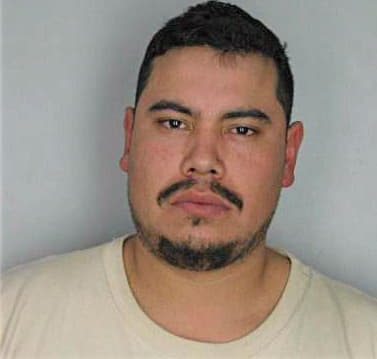 Menalemus Rodolfo - Hillsborough County, FL 