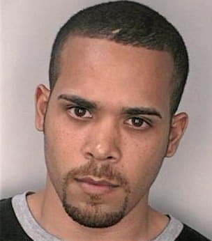 Melcadodiaz Carlos - Hillsborough County, FL 