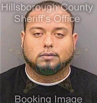 Sierra Renando - Hillsborough County, FL 
