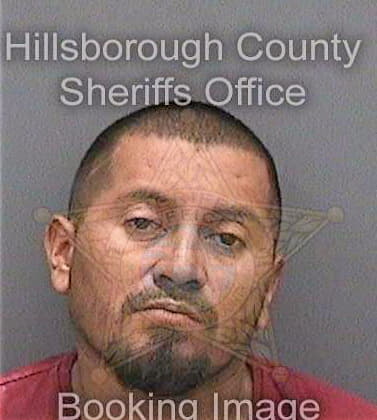 Castillo-Lopez Aron - Hillsborough County, FL 