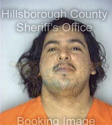 Carmonaramirez Jose - Hillsborough County, FL 