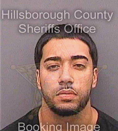 Vasconcelos Nathan - Hillsborough County, FL 