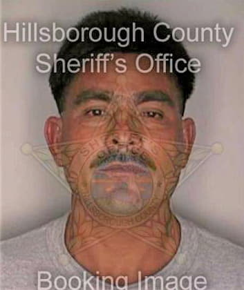 Gonzalez Pedro - Hillsborough County, FL 