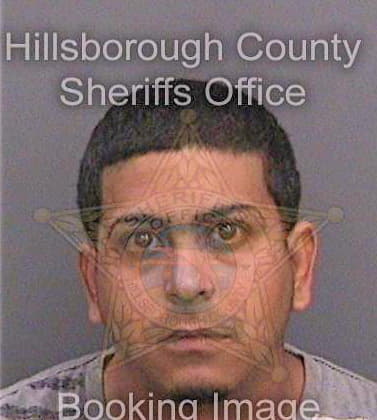 Contes-Domenech Georgie - Hillsborough County, FL 