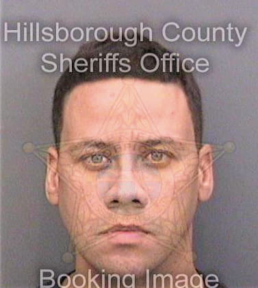 Pena Reinaldo - Hillsborough County, FL 