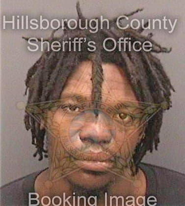 Jorge Gogotso - Hillsborough County, FL 