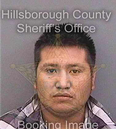 Santizlopez Pedro - Hillsborough County, FL 