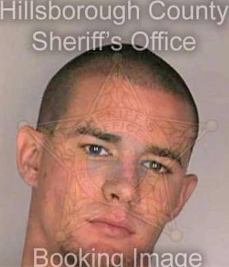 Mcfarland William - Hillsborough County, FL 