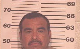 Espinoza Feliciano - Hidalgo County, TX 