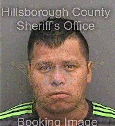 Hernandezbaron Heriberto - Hillsborough County, FL 