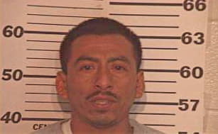 Hernandez Meliton - Hidalgo County, TX 